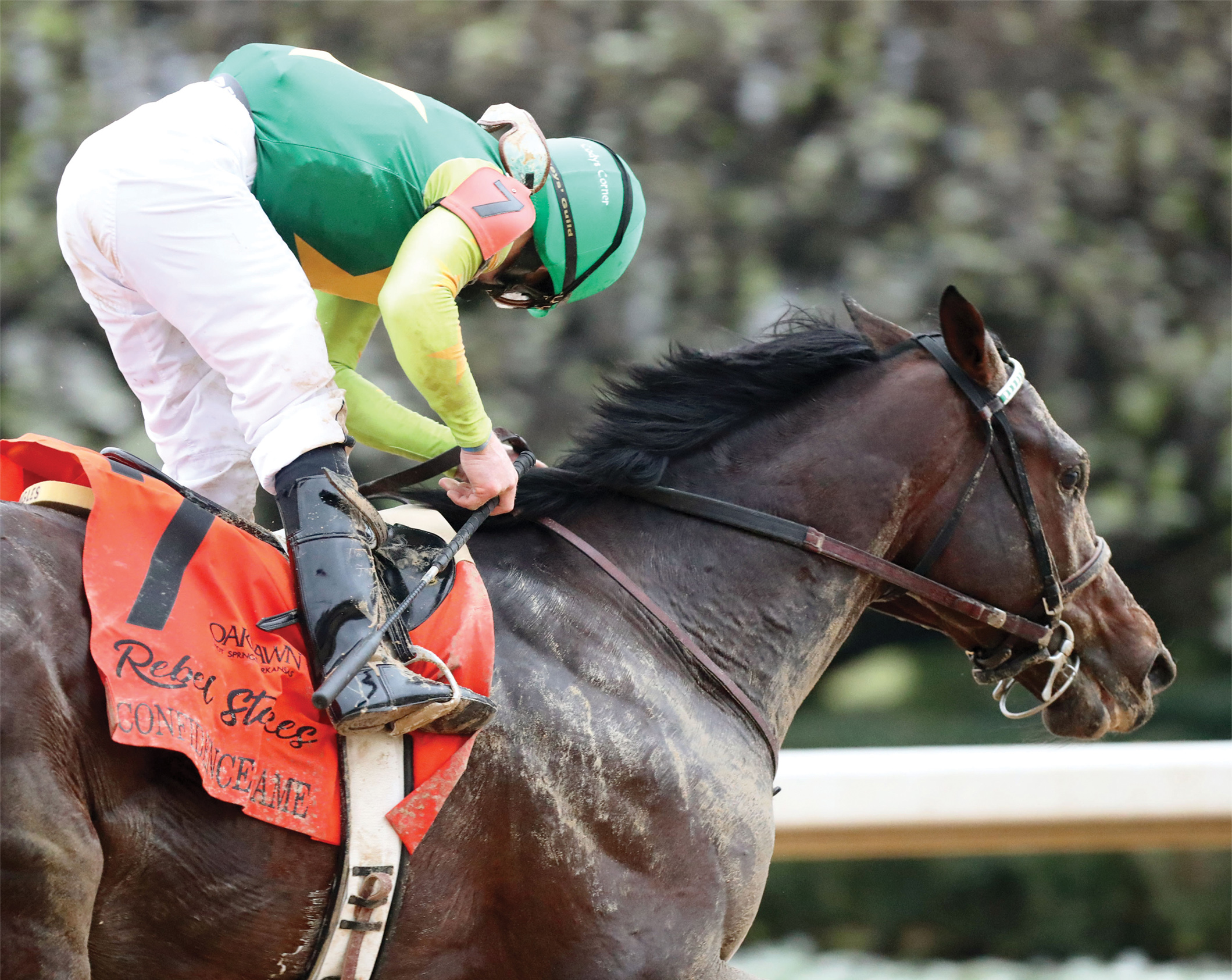 Confidence Game - Rebel Stakes