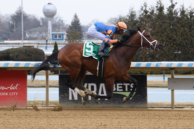 Gallant One made a splash in his career debut at Aqueduct delivering a dominant performance for Hall of Fame trainer Todd Pletcher.